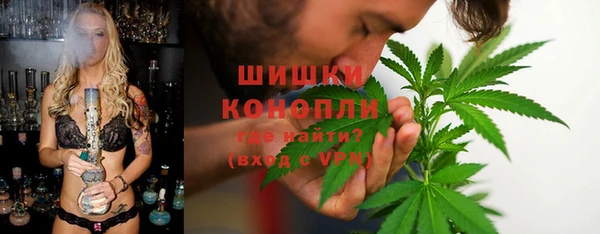 сатива Заволжск