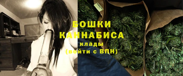 сатива Заволжск