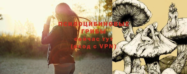 а пвп мука Заволжье