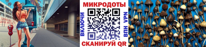Псилоцибиновые грибы мицелий  Купить  Кумертау 
